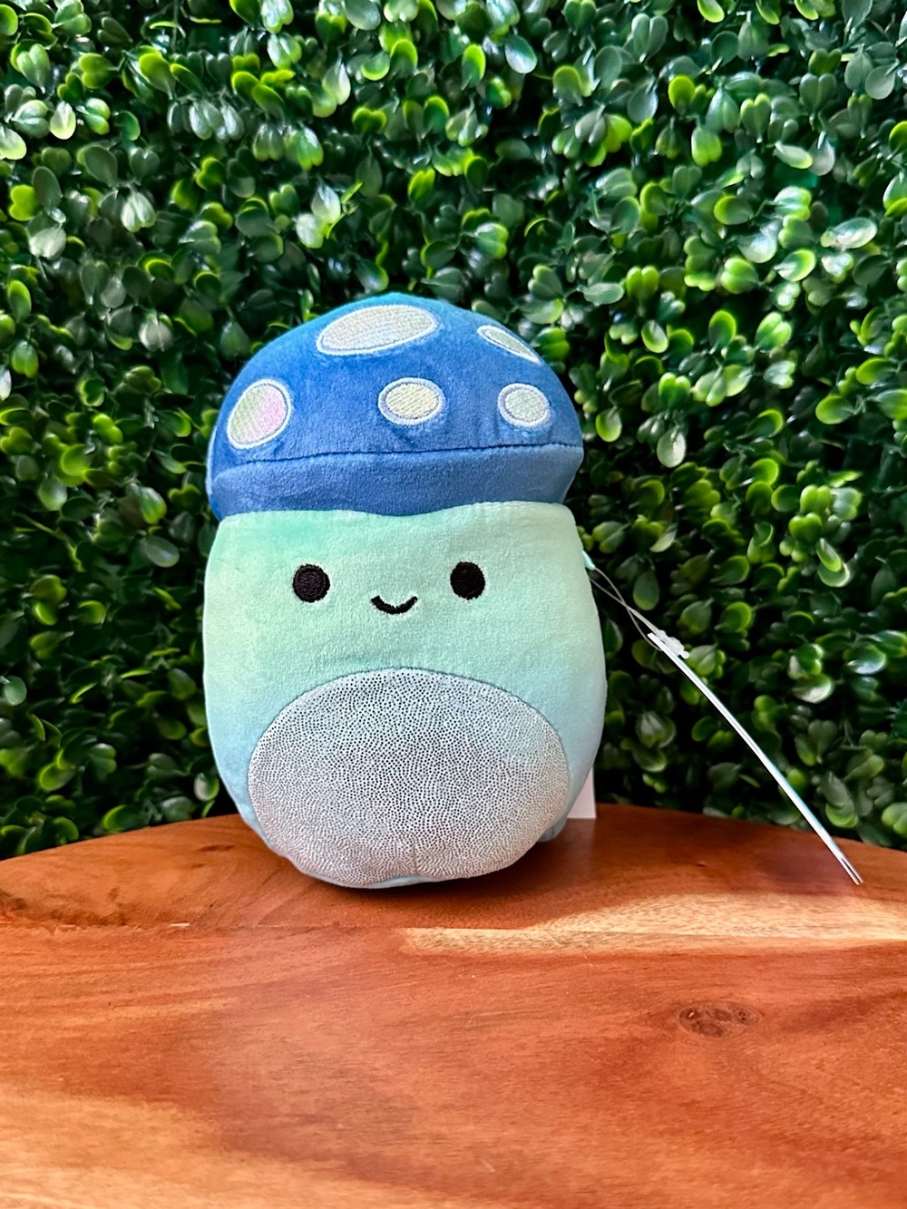 Zayn the Mushroom 5” Scented Squishmallow